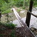 Mittels einer schmalen Brücke aus zwei Baumstämmen wird der Achbach überwunden