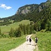 Unter Strausberg und Imberger Horn unterwegs zur Strausberg Alpe