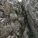 ... und Rückblick