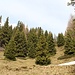 schöner Aufstiegsweg