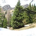 nur noch wenige Schneefelder
