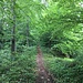 Gratweg zum Striegüpfel (Striehe Westgipfel).