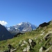 Disgrazia dall'Alpe Fora