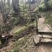 ... bestens installierte Wegausbauten
