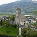 ... und nach langer Wegstrecke beim Schloss Sargans ...