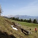 während des Aufstiegs zum Wisliboden ergibt sich ein Rückblick ins Rheintal und den Chrüzbergen ...
