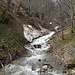 ... fliesst der Lochbach reissend von der Paschganegg hinunter ...