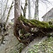 und der Baum hält sich ;-)