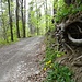 beschaulich auf dem Rheintaler Höhenweg unterwegs