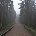 Laut Beschilderung ist das der "Wanderweg" zum Blomberg, der praktischwerweise im Winter auch als Winterrodelbahn dient. Wie dann der ebenfalls ausgezeichnete Wirtschaftsweg aussieht, will man lieber nicht wissen. 