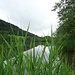 Keine wirkliche Idylle, 10m hinter mir donnern die LKWs nach Tölz