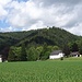 Blick auf Waldstein mit dem Schloß sowie den beiden Burgtürmen auf den bewaldeten Hügel