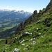 Wilder Abstieg zur Alp Loch