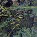 mein Weg zum Hohen Kasten, von Hard über den Montlinger Schwamm zum Kastensattel, Aufzeichnung mit meiner GPS Uhr Suunto Ambit3 peak hr