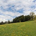 Blick zum Windegg