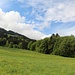über saftige Wiesen