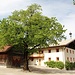 Hof bei Schloß Friedberg