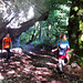 Der Wanderweg nimmt erst zu unterst seine Form an. Dazwischen fehlt immer wieder die Spur.