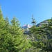 Ein schöner Tag, ein herausfordernder Berg.