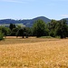 Blick zwischen Grenach und Whylen in die Schweiz zum Adler / Madlechöpfli (535m).