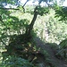 Der Kaibenfelsen erlaubt einen schönen Blick ins Albtal