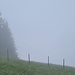 Zaun im Nebel
