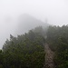 Bis zum Gipfel im Regen, danach am Grat dichter Nebel