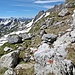 Abstiegsweg mit ausgezeichnetem Panorama.