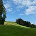 noch viel Sonne und Blau beim Start ob Zopfweidli