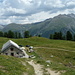 Alp Muntatsch oberhalb Samedan