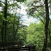 An der einzigen Aussichtsstelle des Katzensteins stehen gleich zwei Sitzbänke hintereinander, aber die Aussicht ist durch die Bäume sehr beschränkt.