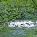Schwellen im Flusslauf