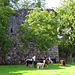 auf einem Bauernhof in Rütli hat es viele "Alpakas",  im Hintergrund eine Burgruine.