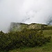 Gipfelplateau Fellhorn (1765 m)