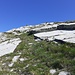 In vista dell' ometto di vetta, terreno fortemente inclinato, ma con fasce d'erba più ampie e spaziose. 