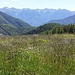 I prati di Alpe Paione 1780 mt e vista dal Togano al Pizzo delle Pecore. 