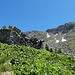 Hainzkaralm mit Schreckwand