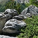 Schalenstein