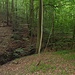 Für Schleswig-Holsteinische Verhältnisse geradezu eine Schlucht