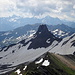 Magerrain-Westgipfel: Blick zu Spitzmeilen und Pizol-Gebiet ..