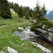 aussergewöhnlicher Verlauf des Sulsbaches unter dem Felsvorsprung mit Tännchen hindurch