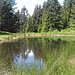 laghetto di q. 1480m