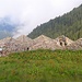 Baite del Gerlo