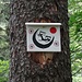 Ein [https://www.hikr.org/user/Makubu/gallery/tags/seltsame_grafik/ Wesen im Wald] beim Örlenmoos / Änzianen.<br /><br /><br />