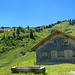 Die Obere Frutzalpe
