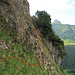 meine Route über das Felsband zum Steilgras, - das, je näher man nach oben kommt, immer steiler wird.