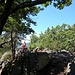 Bald gelangten wir auf den Ehrbergkopf, einen bewaldeten Felsgipfel....