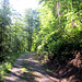 der Bergweg wird zur Strasse