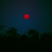 Der Mond, ähh, die Sonne über Caprivi, am Abend<br /><br />Die Farben (aus dem Original Velvia Film) wurden nicht verändert.