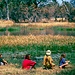 Okavango